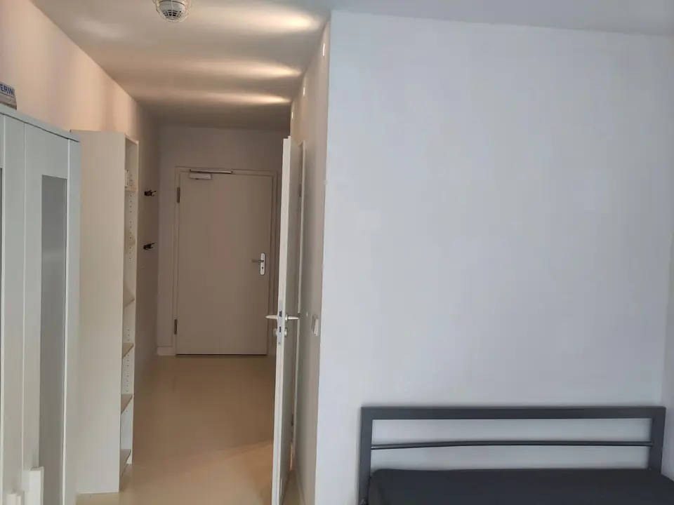 Studio mit 25 m² in Dresden – Bild 3