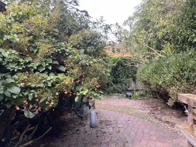 WG-Zimmer mit 65 m² in Kiel – Bild 2