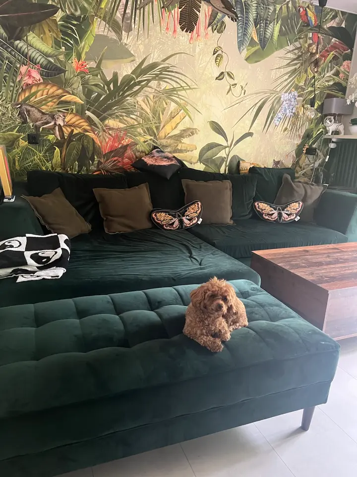 WG-Zimmer mit 120 m² in Dachau – Bild 2