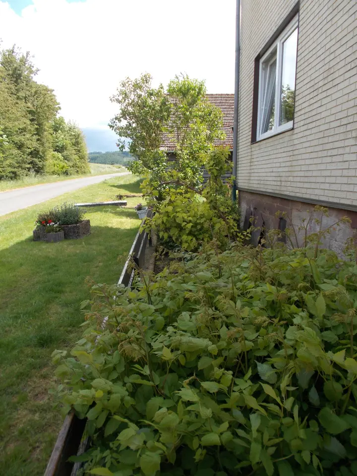 3 Zimmer Wohnung mit 50 m² in Einbeck – Bild 3