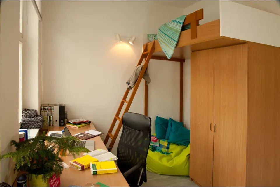 2 Zimmer Wohnung mit 20 m² in Neubrandenburg – Bild 3
