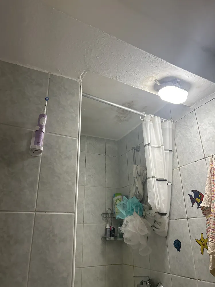 3 Zimmer Wohnung mit 50 m² in Konstanz – Bild 4