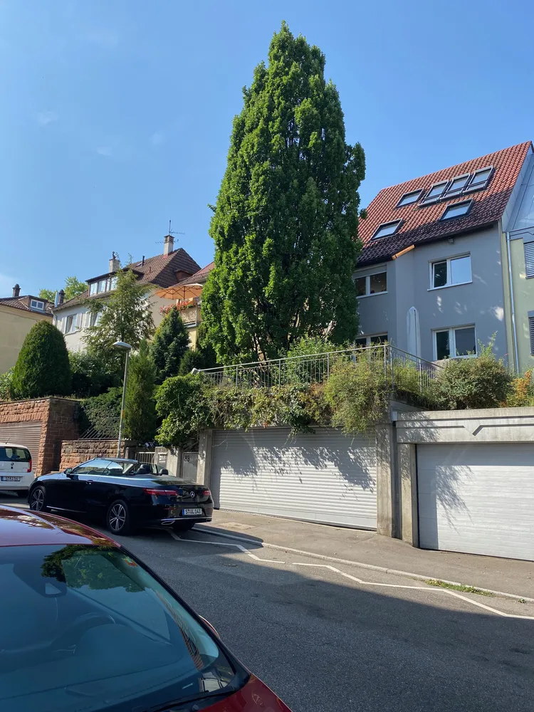 3 Zimmer Wohnung mit 80 m² in Stuttgart – Bild 3