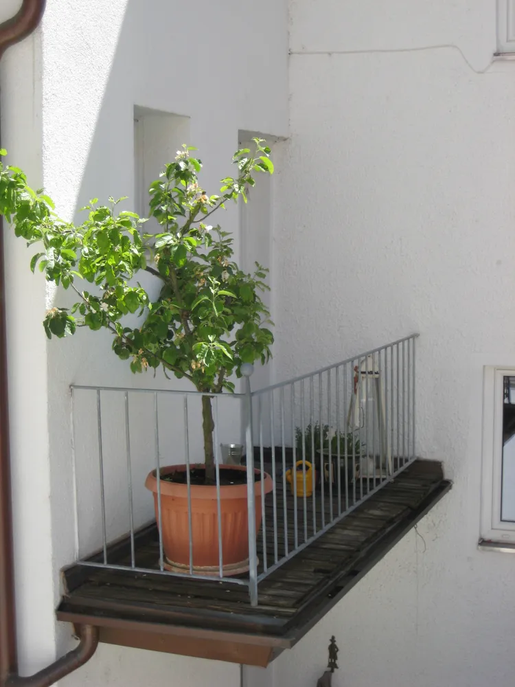 3 Zimmer Wohnung mit 126 m² in Ingolstadt – Bild 2