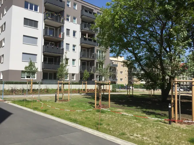 3 Zimmer Wohnung mit 79 m² in Dresden – Bild 2