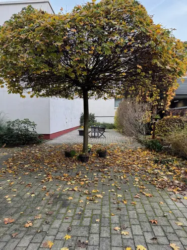 2 Zimmer Wohnung mit 61 m² in Frankfurt am Main – Bild 3