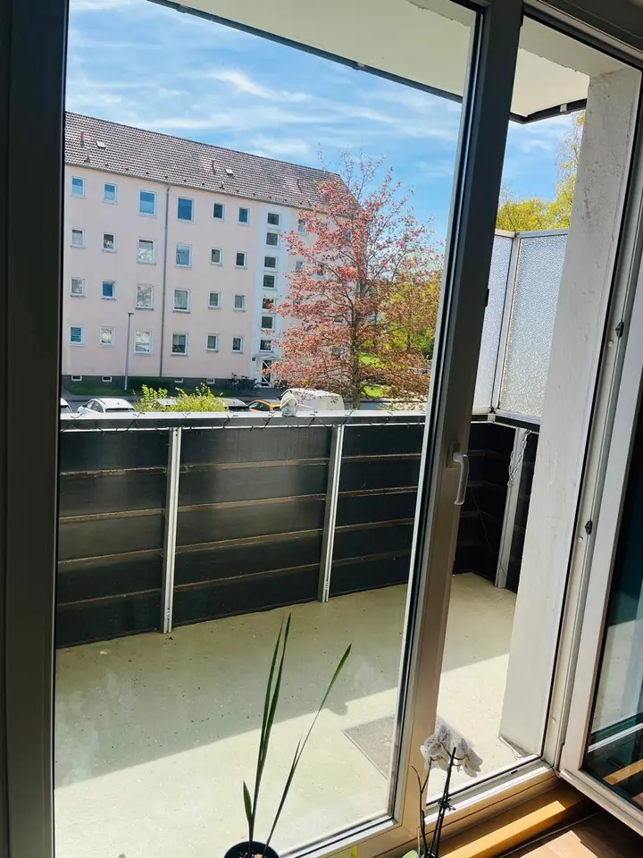 3 Zimmer Wohnung mit 57 m² in Greifswald – Bild 5