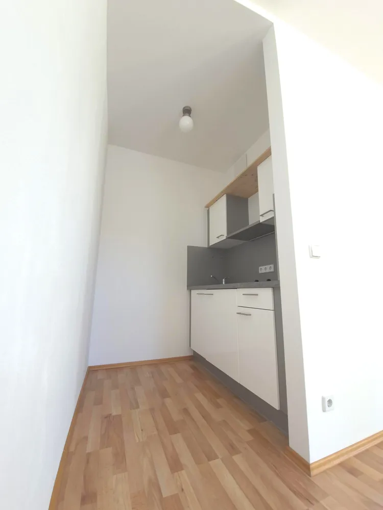 1 Zimmer Wohnung mit 31 m² in Greifswald – Bild 4