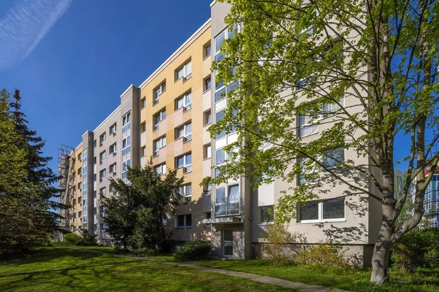 2 Zimmer Wohnung mit 45 m² in Dresden – Bild 1