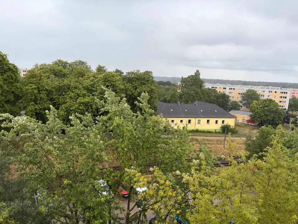 3 Zimmer Wohnung mit 56 m² in Frankfurt (Oder) – Bild 3