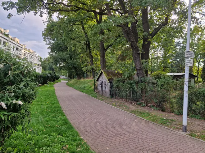 1 Zimmer Wohnung mit 19 m² in Dresden – Bild 2