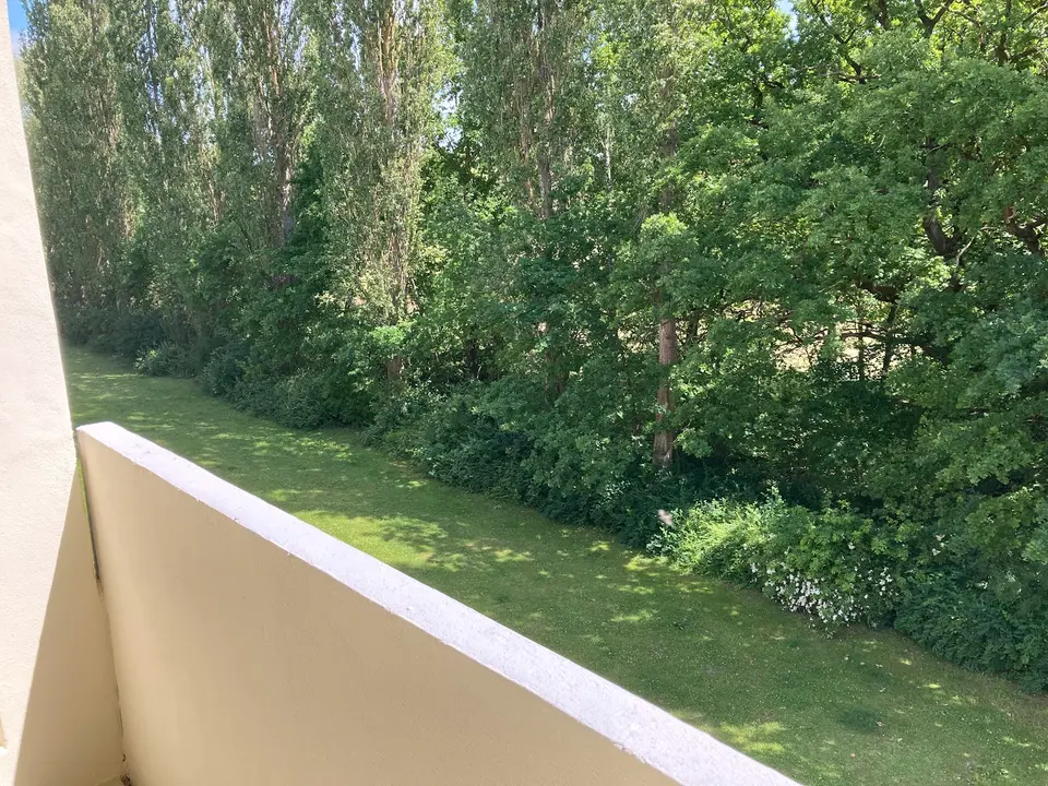 2 Zimmer Wohnung mit 52 m² in Schwerin – Bild 3