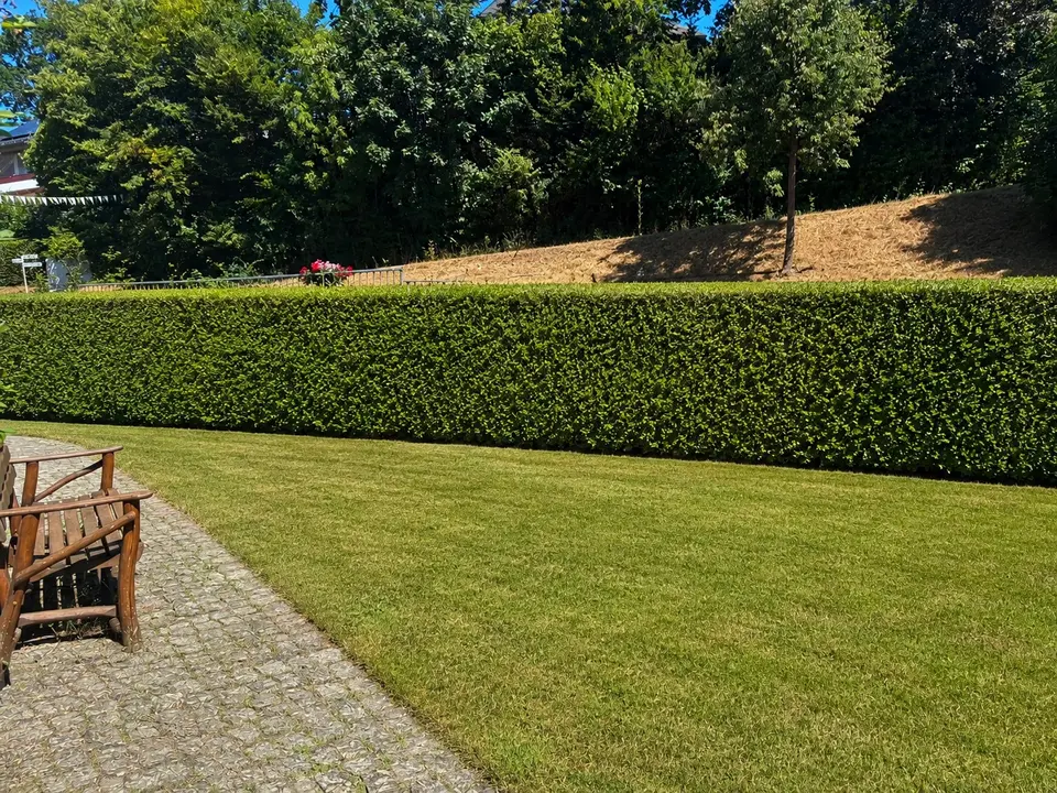 5 Zimmer Haus mit 170 m² in Siegen – Bild 2