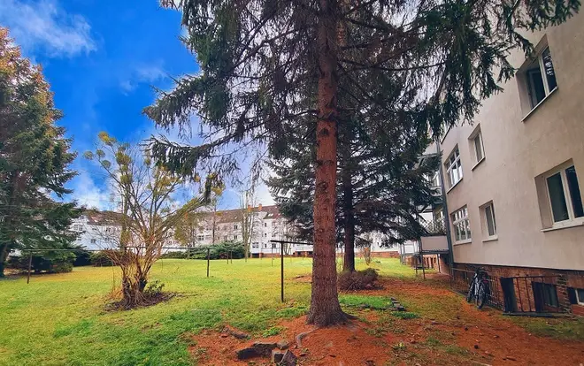 2 Zimmer Wohnung mit 43 m² in Dresden – Bild 1