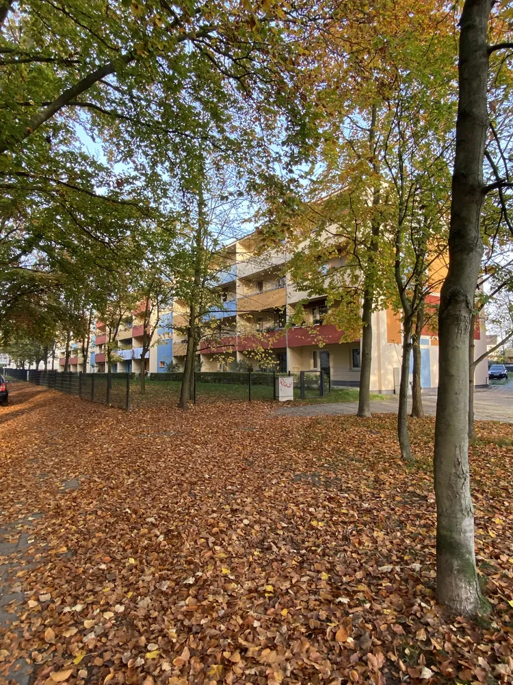 3 Zimmer Wohnung mit 72 m² in Frankfurt (Oder) – Bild 12