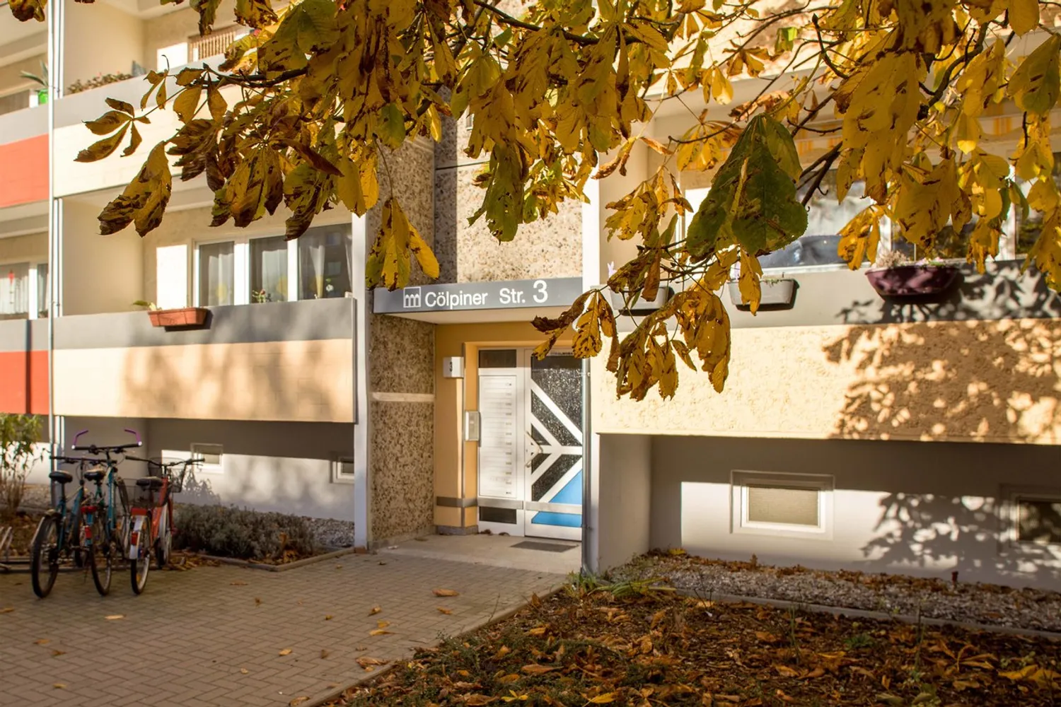 3 Zimmer Wohnung mit 63 m² in Neubrandenburg – Bild 2