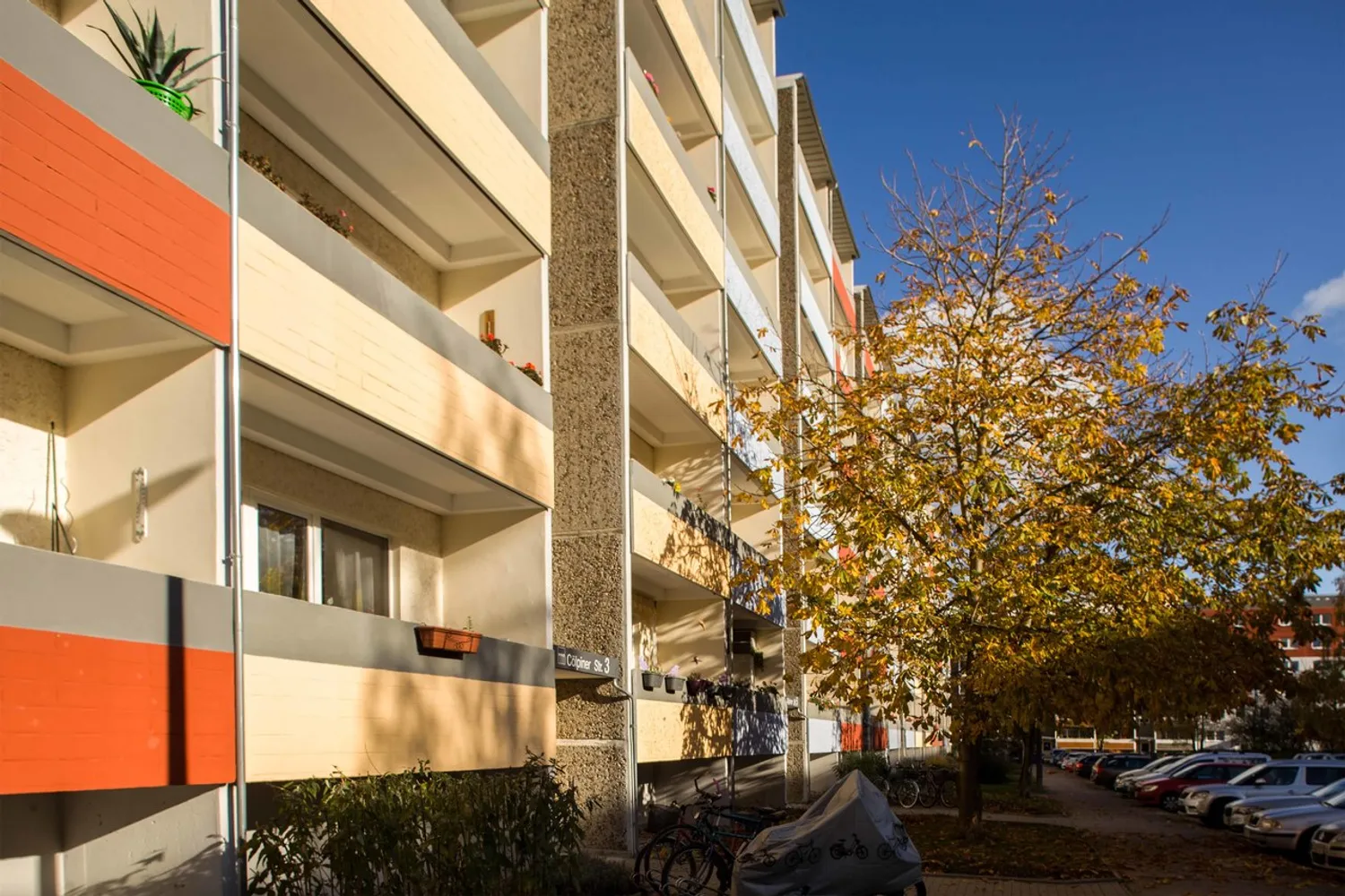 3 Zimmer Wohnung mit 63 m² in Neubrandenburg – Bild 5
