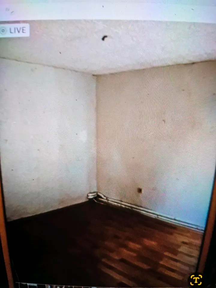 5 Zimmer Haus mit 150 m² in Dessau-Roßlau – Bild 9