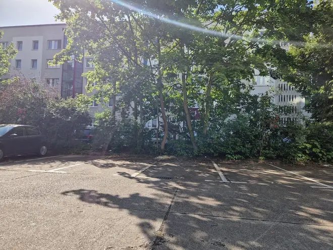 3 Zimmer Wohnung mit 55 m² in Halle (Saale) – Bild 9