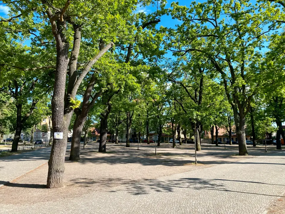 WG-Zimmer mit 50 m² in Potsdam – Bild 8