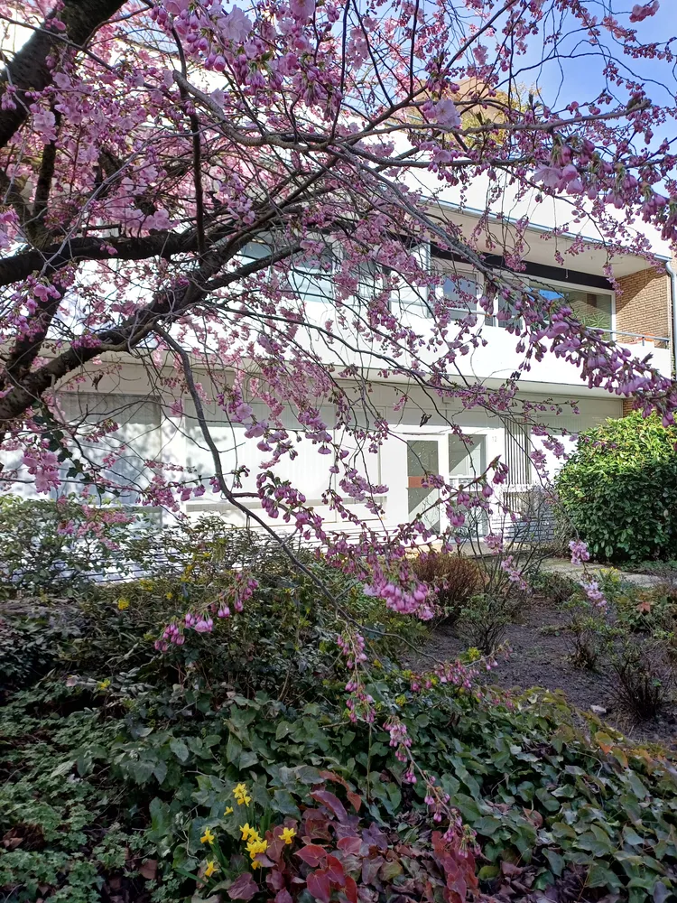 3 Zimmer Wohnung mit 75 m² in Krefeld – Bild 1