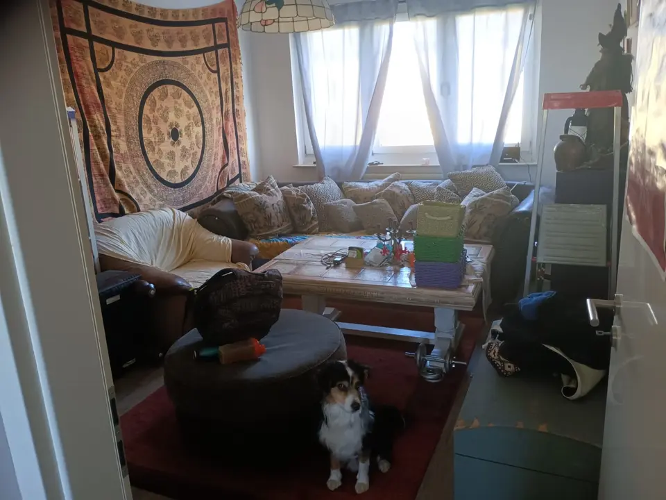 WG-Zimmer mit 47 m² in Stralsund – Bild 1