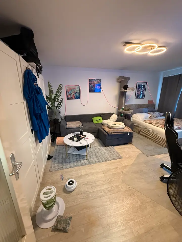 2 Zimmer Wohnung mit 34 m² in Hanau – Bild 2