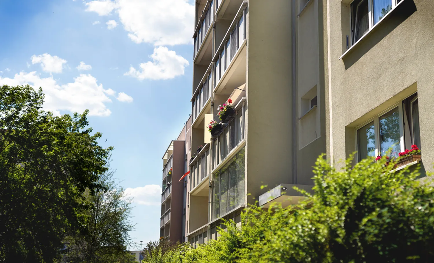 2 Zimmer Wohnung mit 46 m² in Neubrandenburg – Bild 3