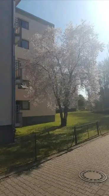 3 Zimmer Wohnung mit 65 m² in Darmstadt – Bild 10