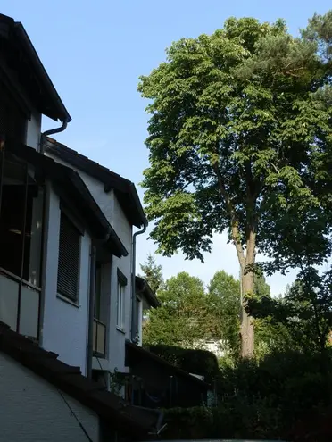 6 Zimmer Haus mit 148 m² in Darmstadt – Bild 3