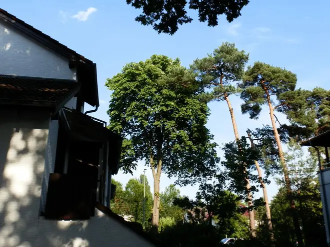 6 Zimmer Haus mit 148 m² in Darmstadt – Bild 5