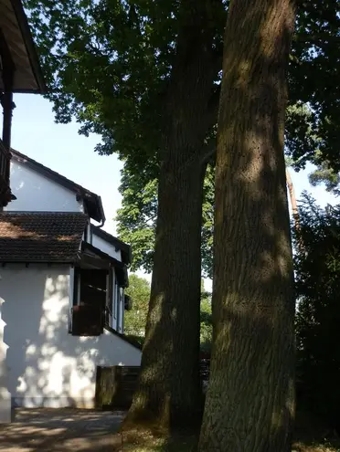 6 Zimmer Haus mit 148 m² in Darmstadt – Bild 6