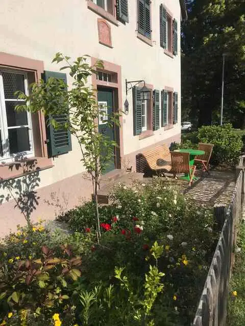 Studio mit 35 m² in Freiburg im Breisgau – Bild 7