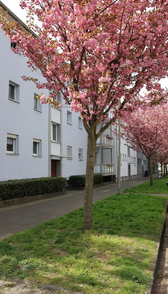 3 Zimmer Wohnung mit 45 m² in Herne – Bild 1