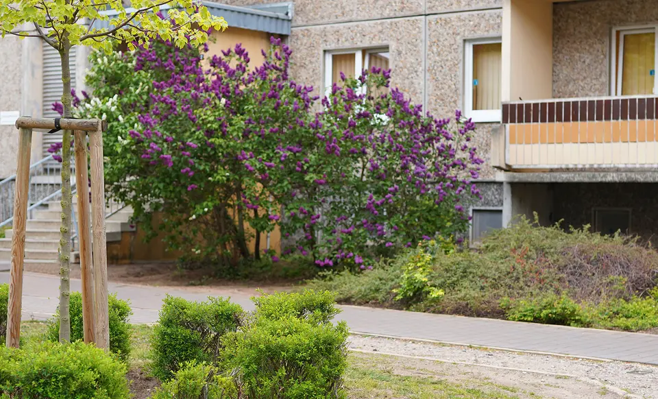 Studio mit 35 m² in Neubrandenburg – Bild 2