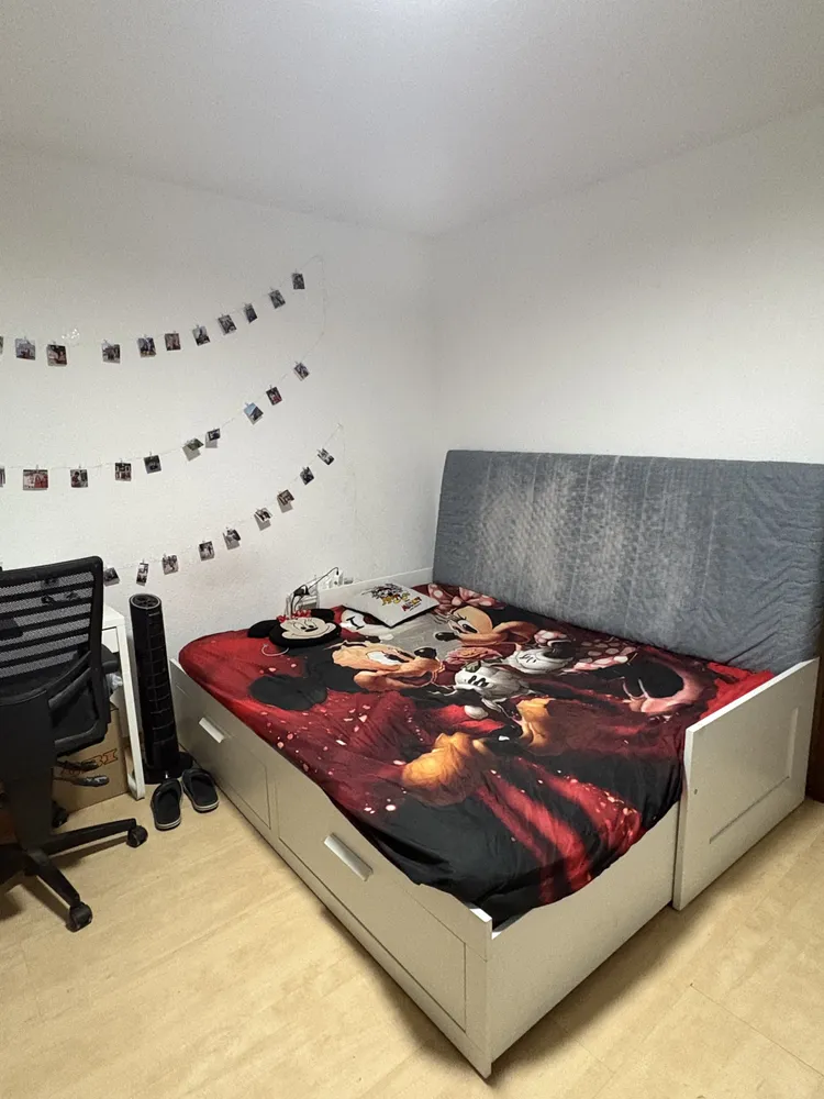 520 Zimmer Wohnung mit 25 m² in Heidelberg – Bild 8