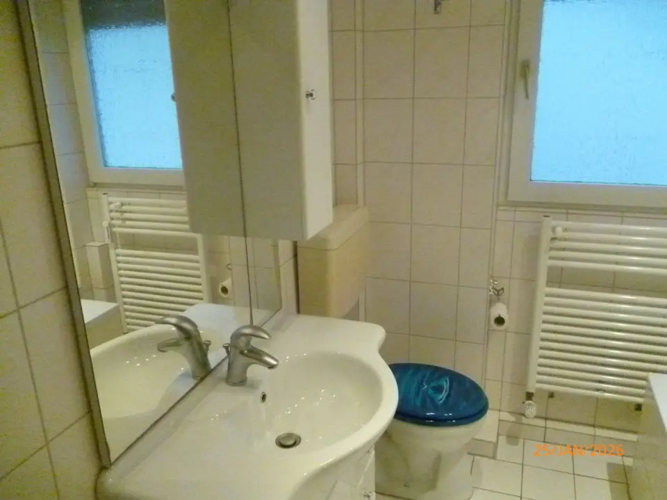 Studio mit 31 m² in Rüsselsheim am Main – Bild 10