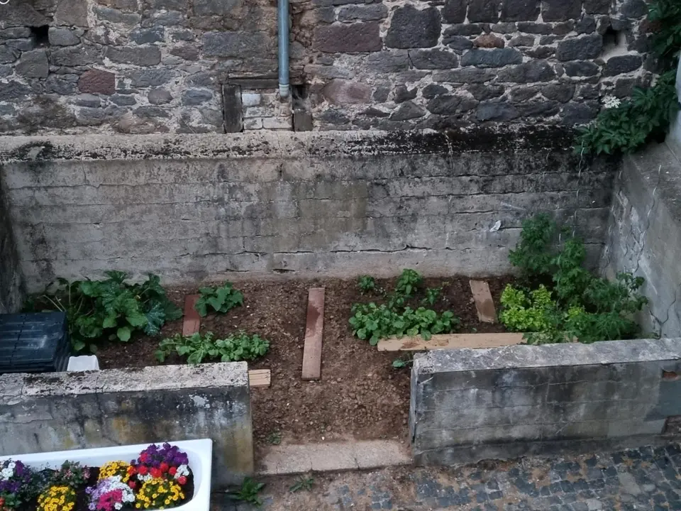 5 Zimmer Haus mit 135 m² in Marburg – Bild 5