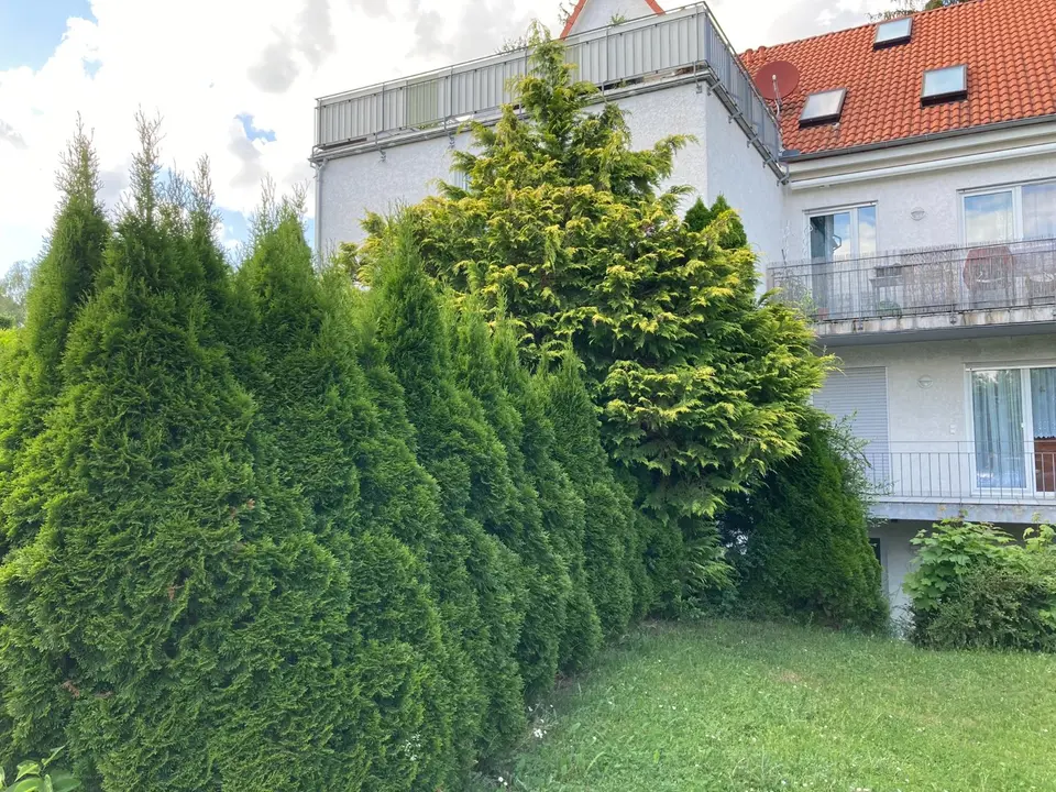 3 Zimmer Wohnung mit 62 m² in Weimar – Bild 7
