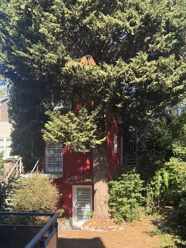 3 Zimmer Haus mit 83 m² in Neuss – Bild 10