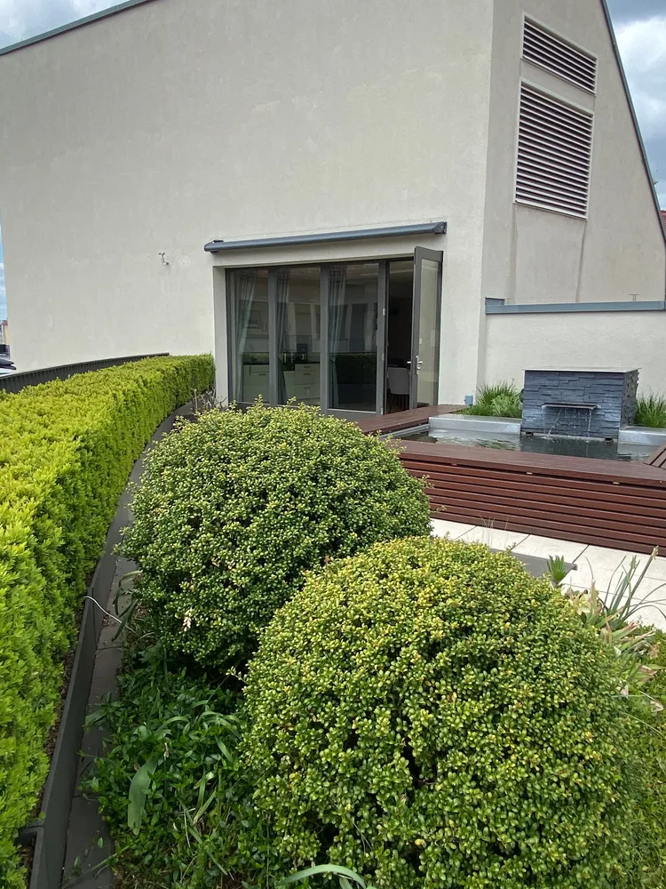 2 Zimmer Wohnung mit 47 m² in Dresden – Bild 3