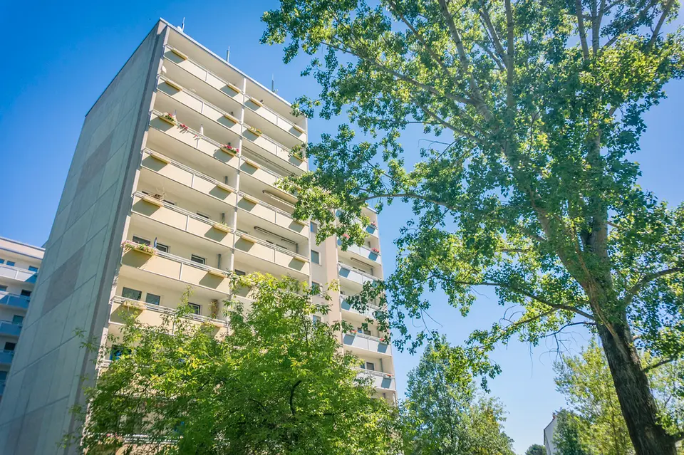 Studio mit 36 m² in Chemnitz – Bild 2
