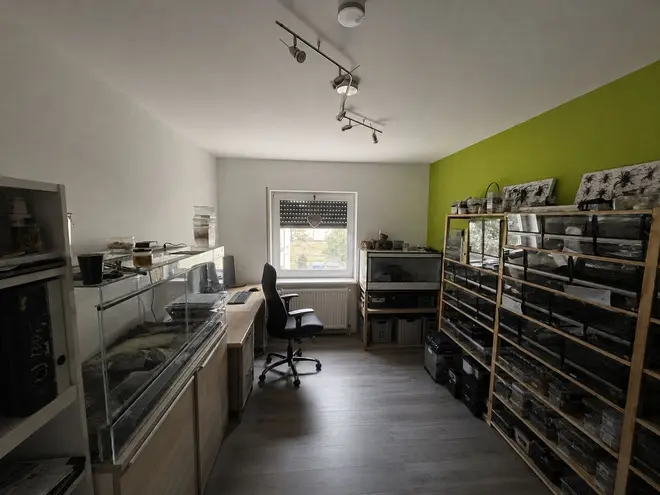 3 Zimmer Wohnung mit 82 m² in Rüsselsheim am Main – Bild 4