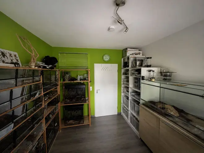 3 Zimmer Wohnung mit 82 m² in Rüsselsheim am Main – Bild 5