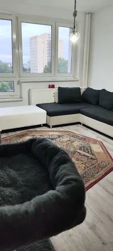 2 Zimmer Wohnung mit 50 m² in Leipzig – Bild 1