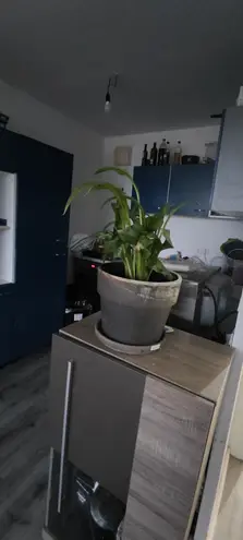 2 Zimmer Wohnung mit 50 m² in Leipzig – Bild 4