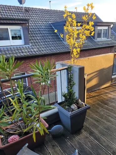 3 Zimmer Wohnung mit 85 m² in Mönchengladbach – Bild 3