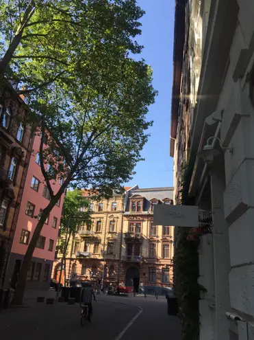 3 Zimmer Wohnung mit 91 m² in Mannheim – Bild 4