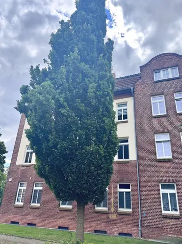 2 Zimmer Wohnung mit 54 m² in Magdeburg – Bild 7