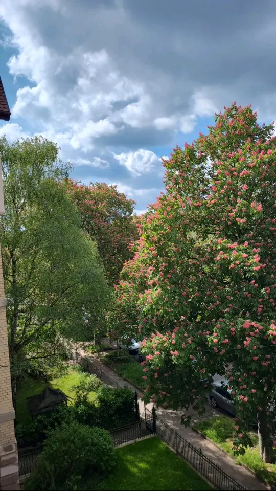 WG-Zimmer mit 23 m² in Stuttgart – Bild 7